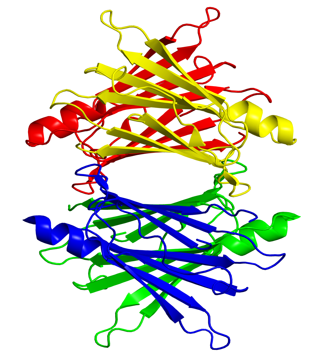 Amyloidosis TTR wild type | ATTRwt |